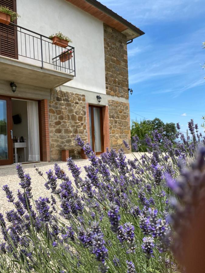 Podere Belsogno Montalcino Zewnętrze zdjęcie