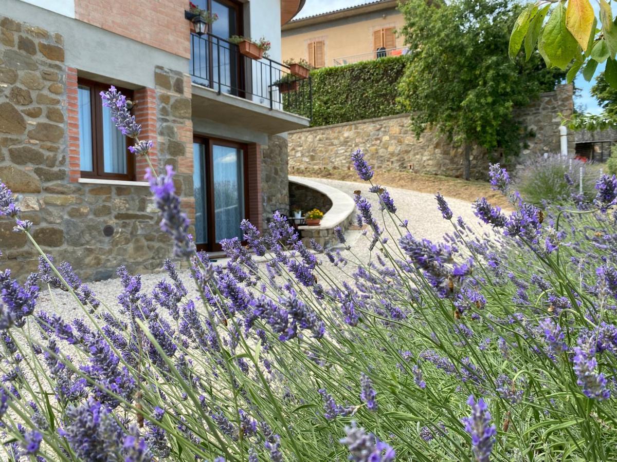 Podere Belsogno Montalcino Zewnętrze zdjęcie