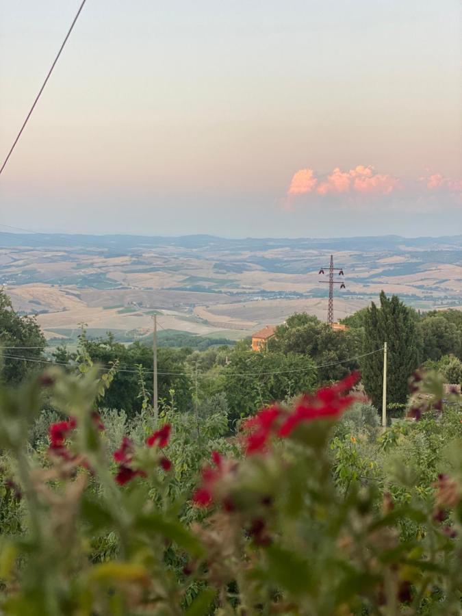 Podere Belsogno Montalcino Zewnętrze zdjęcie