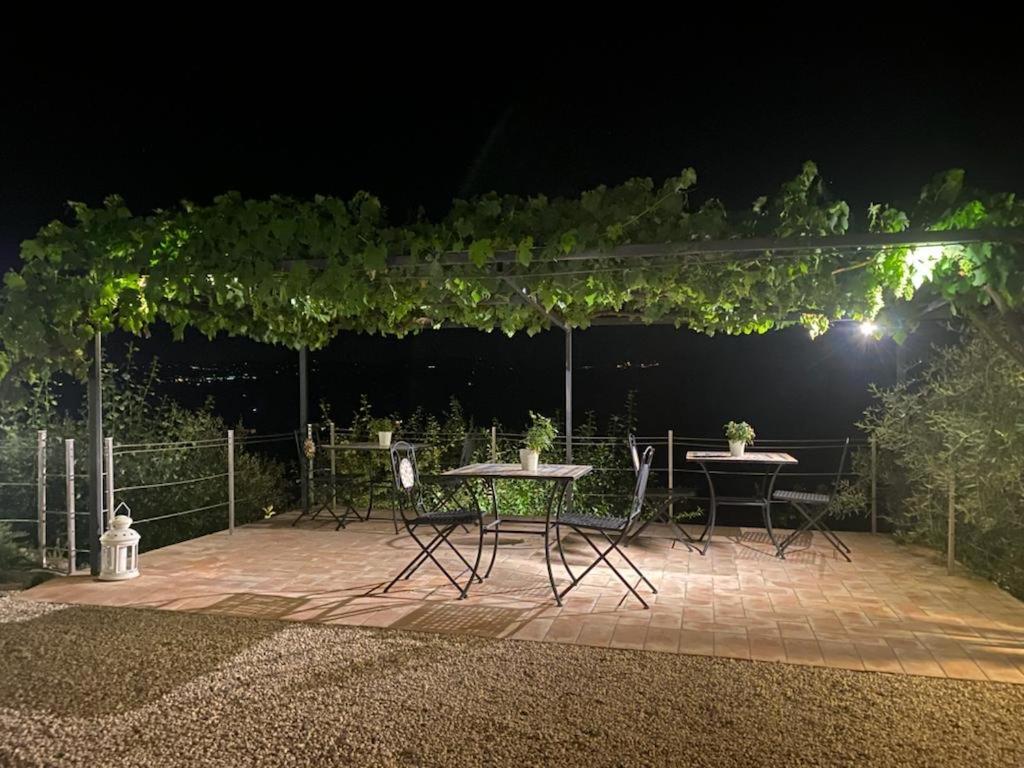 Podere Belsogno Montalcino Zewnętrze zdjęcie
